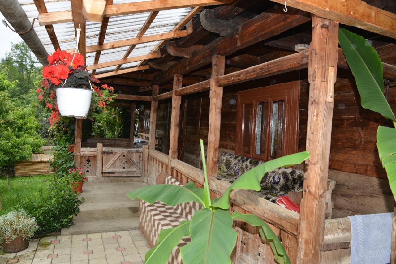 Pensiunea Armonia Văleni Exteriör bild